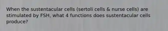 When the sustentacular cells (sertoli cells & nurse cells) are stimulated by FSH, what 4 functions does sustentacular cells produce?