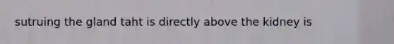 sutruing the gland taht is directly above the kidney is