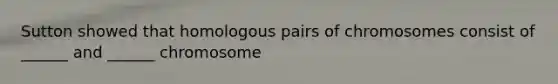 Sutton showed that homologous pairs of chromosomes consist of ______ and ______ chromosome