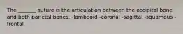 The _______ suture is the articulation between the occipital bone and both parietal bones. -lambdoid -coronal -sagittal -squamous -frontal