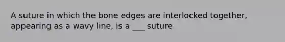 A suture in which the bone edges are interlocked together, appearing as a wavy line, is a ___ suture