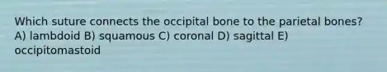 Which suture connects the occipital bone to the parietal bones? A) lambdoid B) squamous C) coronal D) sagittal E) occipitomastoid