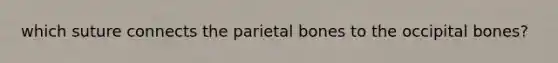 which suture connects the parietal bones to the occipital bones?