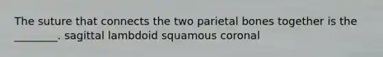 The suture that connects the two parietal bones together is the ________. sagittal lambdoid squamous coronal
