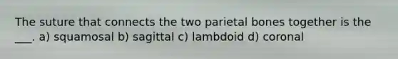 The suture that connects the two parietal bones together is the ___. a) squamosal b) sagittal c) lambdoid d) coronal