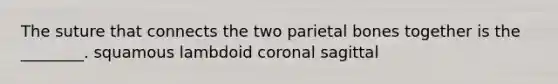 The suture that connects the two parietal bones together is the ________. squamous lambdoid coronal sagittal