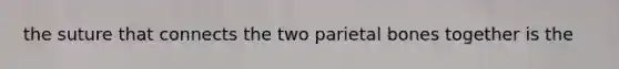 the suture that connects the two parietal bones together is the