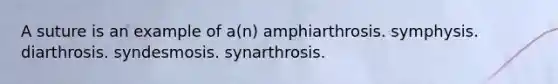 A suture is an example of a(n) amphiarthrosis. symphysis. diarthrosis. syndesmosis. synarthrosis.