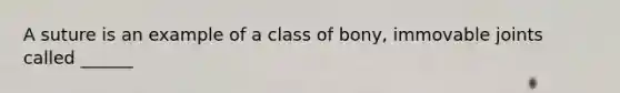 A suture is an example of a class of bony, immovable joints called ______