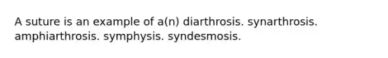 A suture is an example of a(n) diarthrosis. synarthrosis. amphiarthrosis. symphysis. syndesmosis.