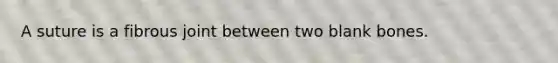 A suture is a fibrous joint between two blank bones.