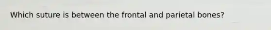 Which suture is between the frontal and parietal bones?