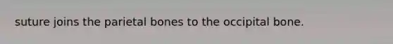suture joins the parietal bones to the occipital bone.