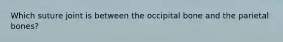 Which suture joint is between the occipital bone and the parietal bones?