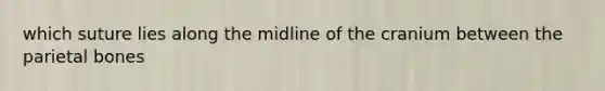 which suture lies along the midline of the cranium between the parietal bones