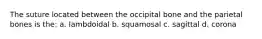 The suture located between the occipital bone and the parietal bones is the: a. lambdoidal b. squamosal c. sagittal d. corona