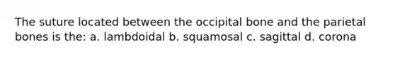 The suture located between the occipital bone and the parietal bones is the: a. lambdoidal b. squamosal c. sagittal d. corona