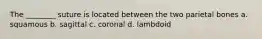 The ________ suture is located between the two parietal bones a. squamous b. sagittal c. coronal d. lambdoid