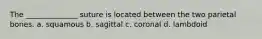 The ______________ suture is located between the two parietal bones. a. squamous b. sagittal c. coronal d. lambdoid