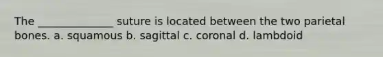 The ______________ suture is located between the two parietal bones. a. squamous b. sagittal c. coronal d. lambdoid