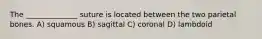 The ______________ suture is located between the two parietal bones. A) squamous B) sagittal C) coronal D) lambdoid