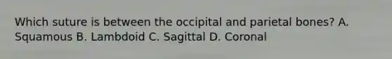 Which suture is between the occipital and parietal bones? A. Squamous B. Lambdoid C. Sagittal D. Coronal