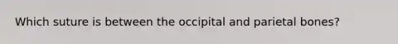 Which suture is between the occipital and parietal bones?