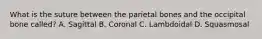 What is the suture between the parietal bones and the occipital bone called? A. Sagittal B. Coronal C. Lambdoidal D. Squasmosal