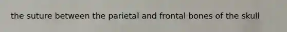 the suture between the parietal and frontal bones of the skull