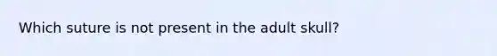 Which suture is not present in the adult skull?