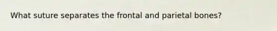 What suture separates the frontal and parietal bones?