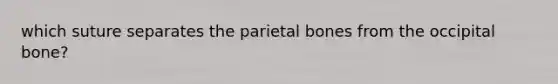 which suture separates the parietal bones from the occipital bone?