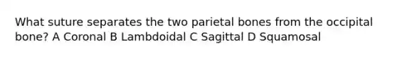 What suture separates the two parietal bones from the occipital bone? A Coronal B Lambdoidal C Sagittal D Squamosal