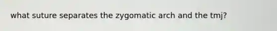 what suture separates the zygomatic arch and the tmj?