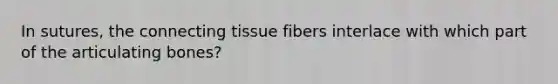 In sutures, the connecting tissue fibers interlace with which part of the articulating bones?