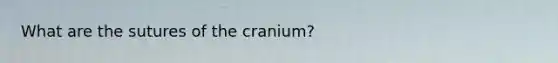 What are the sutures of the cranium?