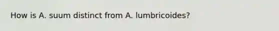 How is A. suum distinct from A. lumbricoides?