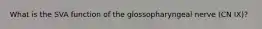 What is the SVA function of the glossopharyngeal nerve (CN IX)?