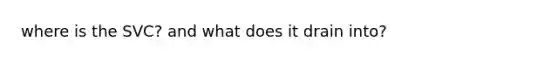 where is the SVC? and what does it drain into?