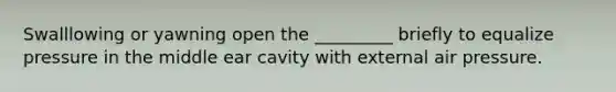 Swalllowing or yawning open the _________ briefly to equalize pressure in the middle ear cavity with external air pressure.