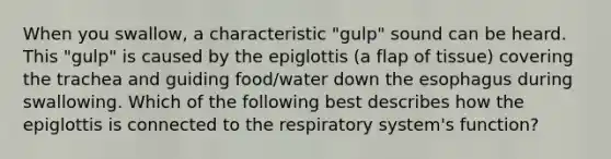 When you swallow, a characteristic "gulp" sound can be heard. This "gulp" is caused by the epiglottis (a flap of tissue) covering the trachea and guiding food/water down the esophagus during swallowing. Which of the following best describes how the epiglottis is connected to the respiratory system's function?