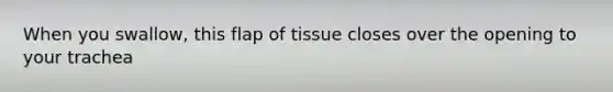 When you swallow, this flap of tissue closes over the opening to your trachea