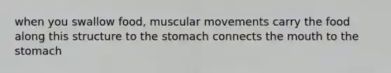 when you swallow food, muscular movements carry the food along this structure to the stomach connects the mouth to the stomach