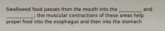 Swallowed food passes from the mouth into the __________ and ____________; the muscular contractions of these areas help propel food into the esophagus and then into the stomach