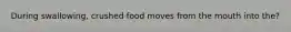 During swallowing, crushed food moves from the mouth into the?