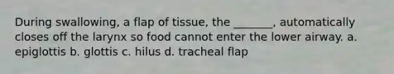 During swallowing, a flap of tissue, the _______, automatically closes off the larynx so food cannot enter the lower airway. a. epiglottis b. glottis c. hilus d. tracheal flap