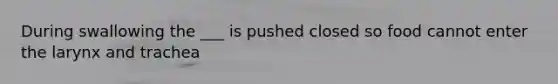 During swallowing the ___ is pushed closed so food cannot enter the larynx and trachea