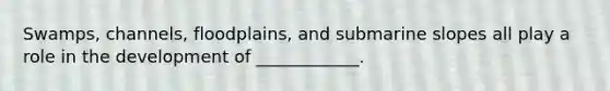 Swamps, channels, floodplains, and submarine slopes all play a role in the development of ____________.
