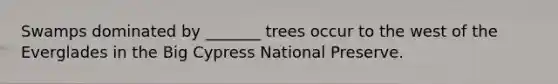 Swamps dominated by _______ trees occur to the west of the Everglades in the Big Cypress National Preserve.