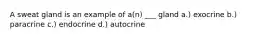 A sweat gland is an example of a(n) ___ gland a.) exocrine b.) paracrine c.) endocrine d.) autocrine